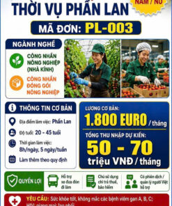ĐƠN THỜI VỤ PHẦN LAN-LƯƠNG CAO-XUẤT CẢNH NHANH