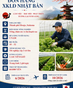 TUYỂN THỰC TẬP SINH ĐƠN NÔNG NGHIỆP